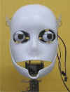 DN_skull_front.jpg (16729 bytes)