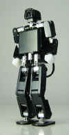 Silf2front.jpeg (41721 个字节)