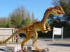 dilophosaurus2.jpg (98259 bytes)