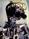 grnhead.jpg (21978 bytes)