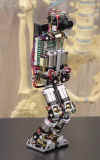 tinyandroid.jpg (31122 bytes)